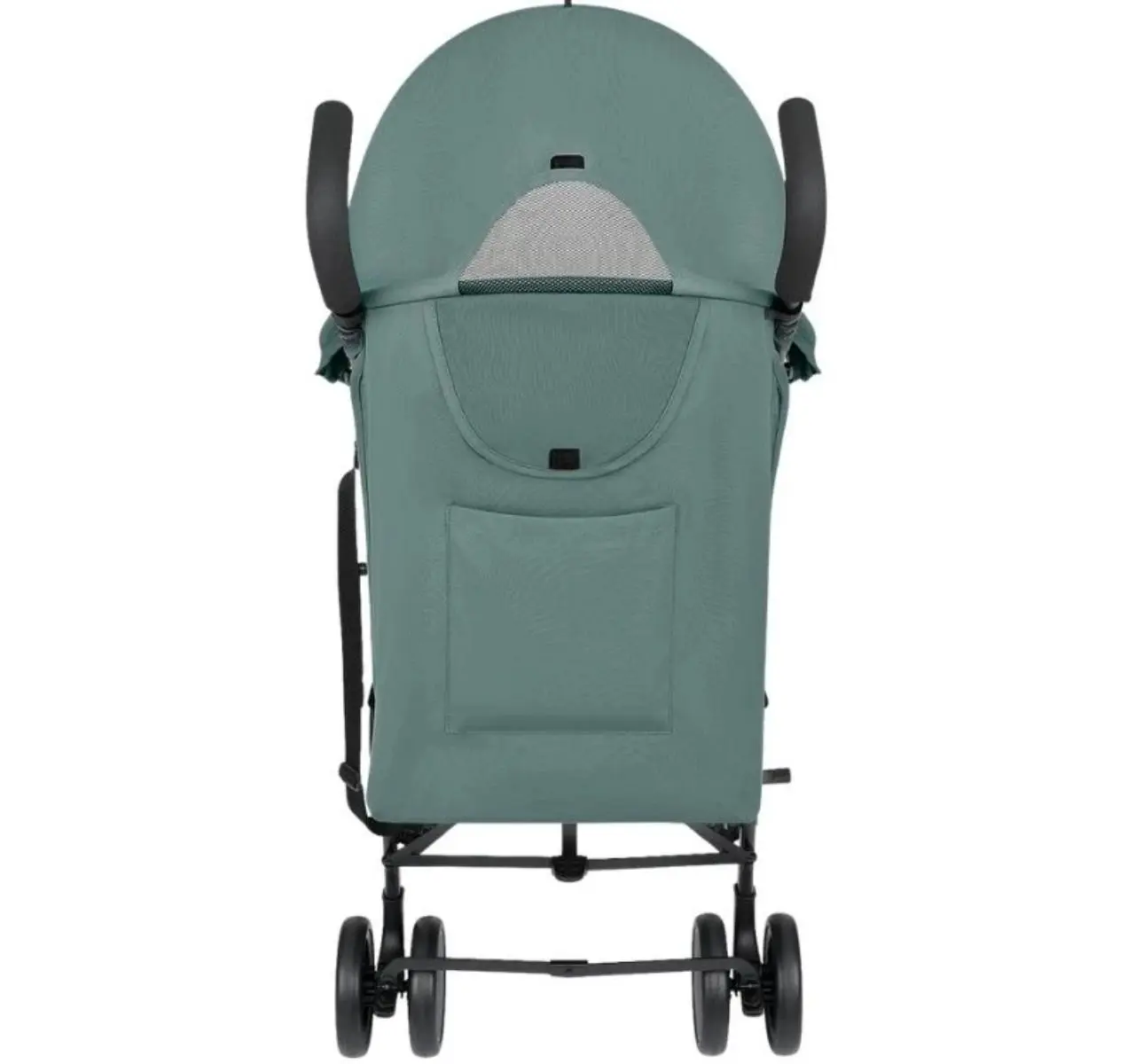 IMG_2790